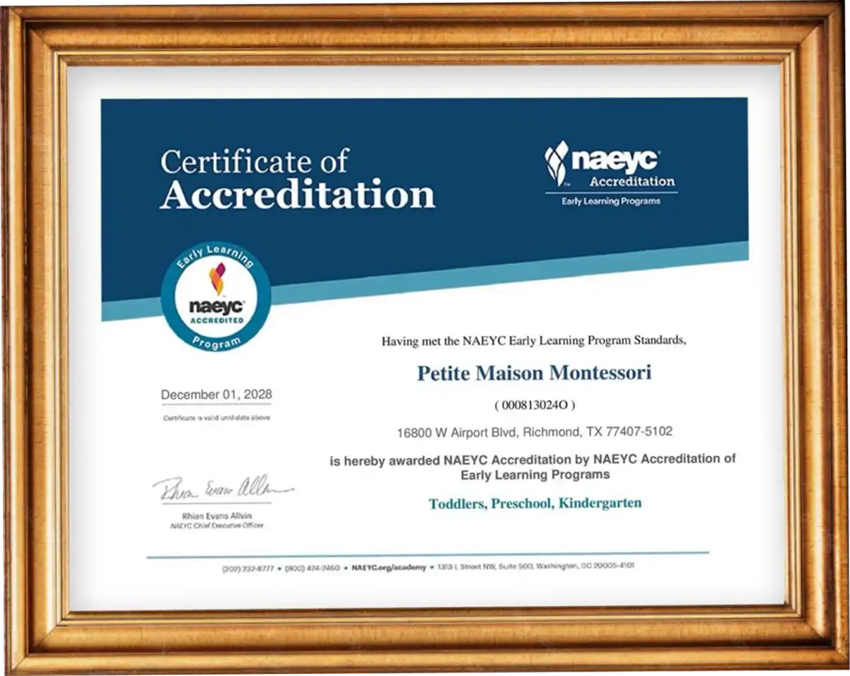 NAEYC-certificate